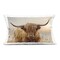 Stupell Industries Highland Cow & Warm Sunset Decorative Printed Throw Pillow, design by CAD Designs, 14 x 7 x 20